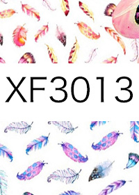XF3013