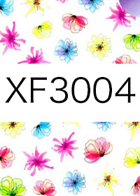 XF3004