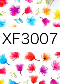 XF3007