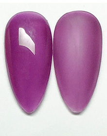 HP006