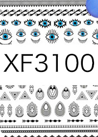 XF3100